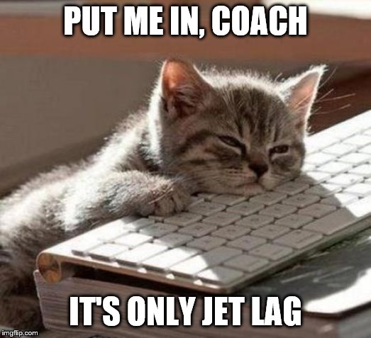 tired cat | PUT ME IN, COACH; IT'S ONLY JET LAG | image tagged in tired cat | made w/ Imgflip meme maker