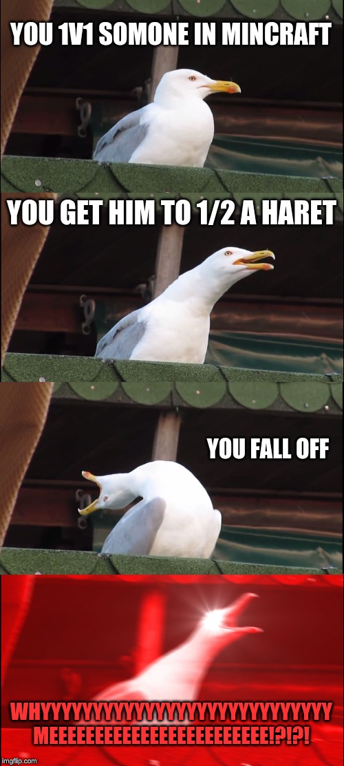 Inhaling Seagull Meme | YOU 1V1 SOMONE IN MINCRAFT; YOU GET HIM TO 1/2 A HARET; YOU FALL OFF; WHYYYYYYYYYYYYYYYYYYYYYYYYYYYY MEEEEEEEEEEEEEEEEEEEEEEEE!?!?! | image tagged in memes,inhaling seagull | made w/ Imgflip meme maker