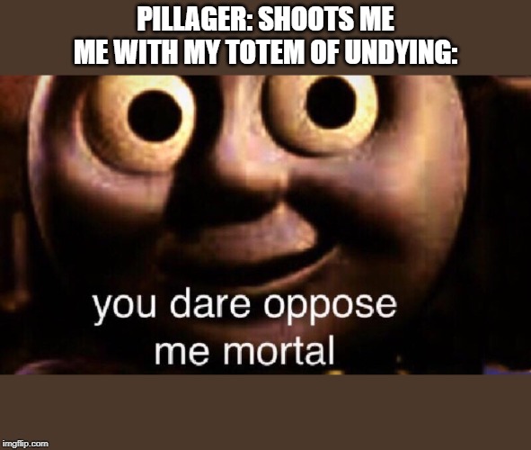You dare oppose me mortal | PILLAGER: SHOOTS ME
ME WITH MY TOTEM OF UNDYING: | image tagged in you dare oppose me mortal | made w/ Imgflip meme maker