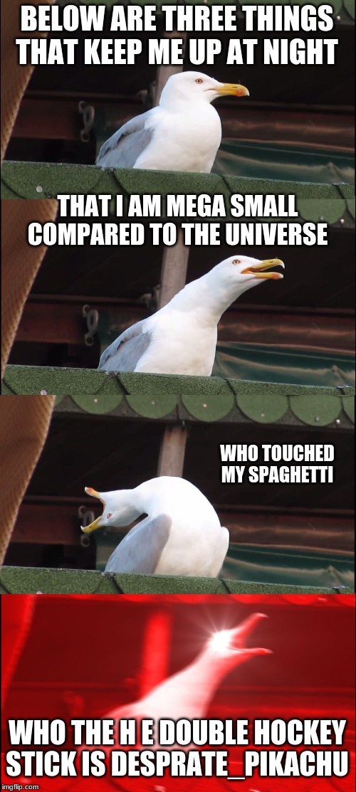 what keep me up at night | BELOW ARE THREE THINGS THAT KEEP ME UP AT NIGHT; THAT I AM MEGA SMALL COMPARED TO THE UNIVERSE; WHO TOUCHED MY SPAGHETTI; WHO THE H E DOUBLE HOCKEY STICK IS DESPRATE_PIKACHU | image tagged in memes,inhaling seagull | made w/ Imgflip meme maker