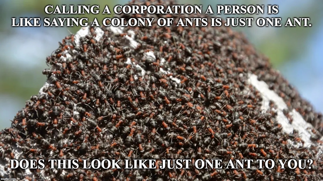 A CORPORATION IS NOT A PERSON. | CALLING A CORPORATION A PERSON IS LIKE SAYING A COLONY OF ANTS IS JUST ONE ANT. DOES THIS LOOK LIKE JUST ONE ANT TO YOU? | image tagged in corporations,corporate fraud,legislative misconduct | made w/ Imgflip meme maker