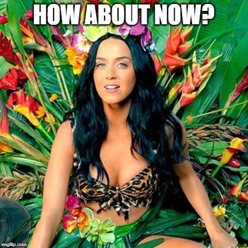Katy Perry Roar | HOW ABOUT NOW? | image tagged in katy perry roar | made w/ Imgflip meme maker