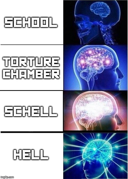 Expanding Brain | SCHOOL; TORTURE CHAMBER; SCHELL; HELL | image tagged in memes,expanding brain | made w/ Imgflip meme maker