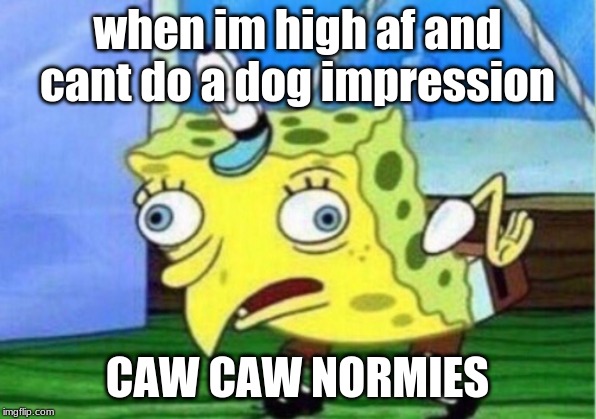 Mocking Spongebob | when im high af and cant do a dog impression; CAW CAW NORMIES | image tagged in memes,mocking spongebob | made w/ Imgflip meme maker