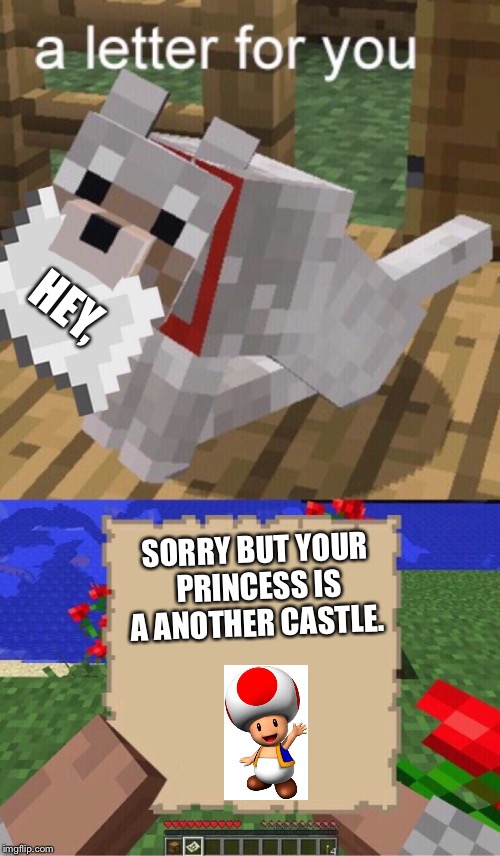 Minecraft Mail | HEY, SORRY BUT YOUR  PRINCESS IS A ANOTHER CASTLE. | image tagged in minecraft mail | made w/ Imgflip meme maker
