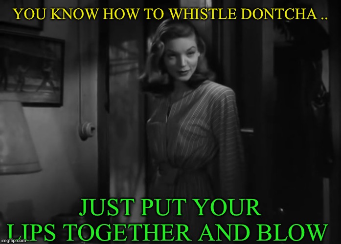 YOU KNOW HOW TO WHISTLE DONTCHA .. JUST PUT YOUR LIPS TOGETHER AND BLOW | made w/ Imgflip meme maker