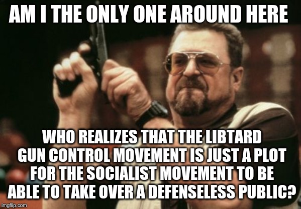 Am I The Only One Around Here Meme | AM I THE ONLY ONE AROUND HERE; WHO REALIZES THAT THE LIBTARD GUN CONTROL MOVEMENT IS JUST A PLOT FOR THE SOCIALIST MOVEMENT TO BE ABLE TO TAKE OVER A DEFENSELESS PUBLIC? | image tagged in memes,am i the only one around here | made w/ Imgflip meme maker