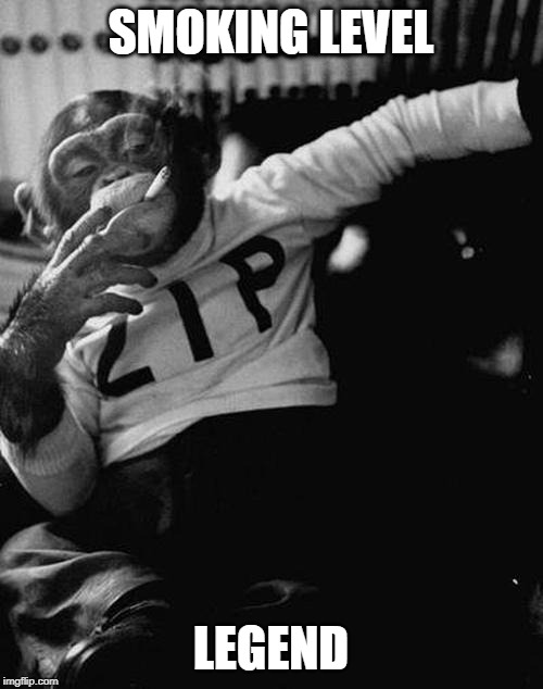 smoking monkey  | SMOKING LEVEL LEGEND | image tagged in smoking monkey | made w/ Imgflip meme maker