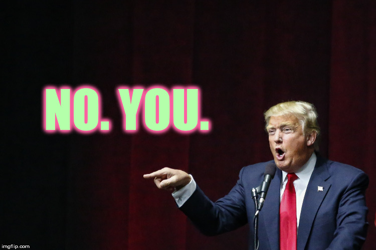 Very Stable Genius Answer To Everything | NO. YOU. | image tagged in memes,funny,donald trump,stable genius,angry baby,first world problems | made w/ Imgflip meme maker