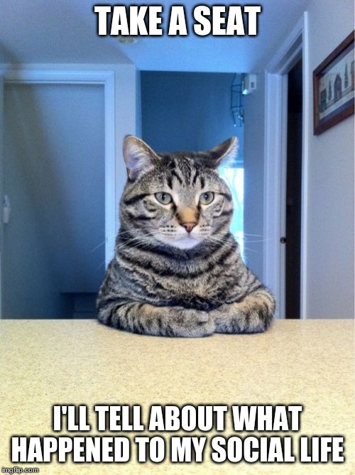 Take A Seat Cat | TAKE A SEAT; I'LL TELL ABOUT WHAT HAPPENED TO MY SOCIAL LIFE | image tagged in memes,take a seat cat | made w/ Imgflip meme maker