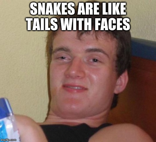 10 Guy Meme | SNAKES ARE LIKE TAILS WITH FACES | image tagged in memes,10 guy | made w/ Imgflip meme maker