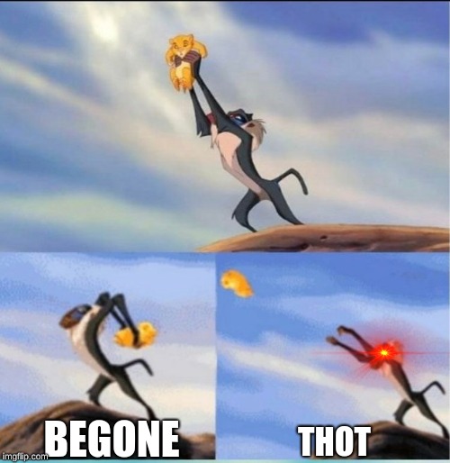 lion being yeeted | BEGONE; THOT | image tagged in lion being yeeted | made w/ Imgflip meme maker