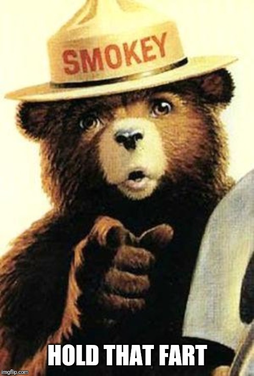 smokey the bear | HOLD THAT FART | image tagged in smokey the bear | made w/ Imgflip meme maker
