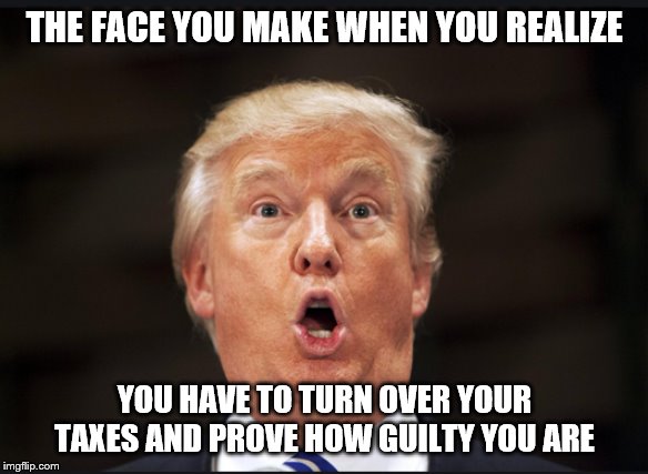 Trump busted | THE FACE YOU MAKE WHEN YOU REALIZE; YOU HAVE TO TURN OVER YOUR TAXES AND PROVE HOW GUILTY YOU ARE | image tagged in trump busted | made w/ Imgflip meme maker