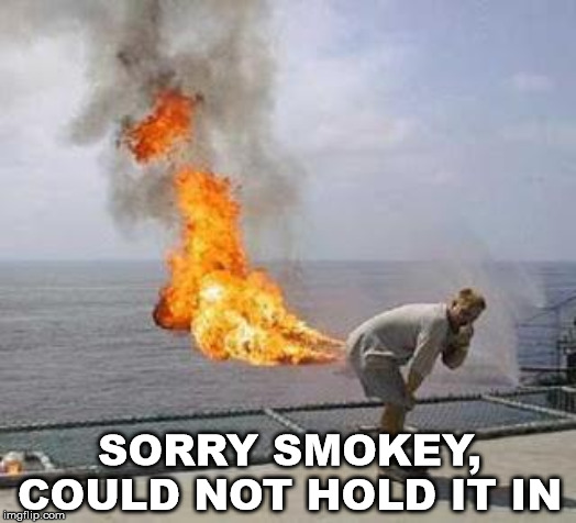 Fart | SORRY SMOKEY, COULD NOT HOLD IT IN | image tagged in fart | made w/ Imgflip meme maker