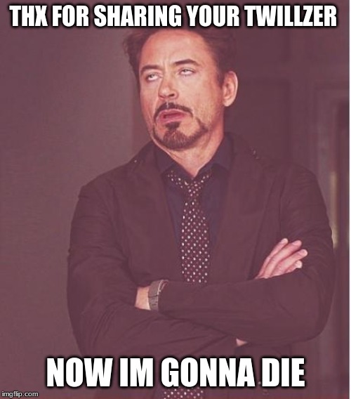 Face You Make Robert Downey Jr | THX FOR SHARING YOUR TWILLZER; NOW IM GONNA DIE | image tagged in memes,face you make robert downey jr | made w/ Imgflip meme maker