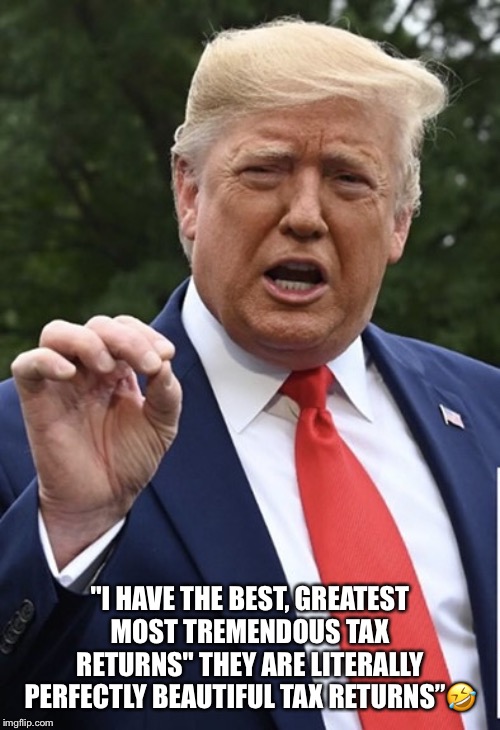 Donald Trump’s Taxes | "I HAVE THE BEST, GREATEST MOST TREMENDOUS TAX RETURNS" THEY ARE LITERALLY PERFECTLY BEAUTIFUL TAX RETURNS”🤣 | image tagged in donald trump,taxes,tremendous taxes,income tax | made w/ Imgflip meme maker