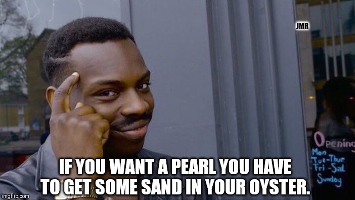 Ok Then | JMR; IF YOU WANT A PEARL YOU HAVE TO GET SOME SAND IN YOUR OYSTER. | image tagged in roll safe think about it,pearl,success | made w/ Imgflip meme maker