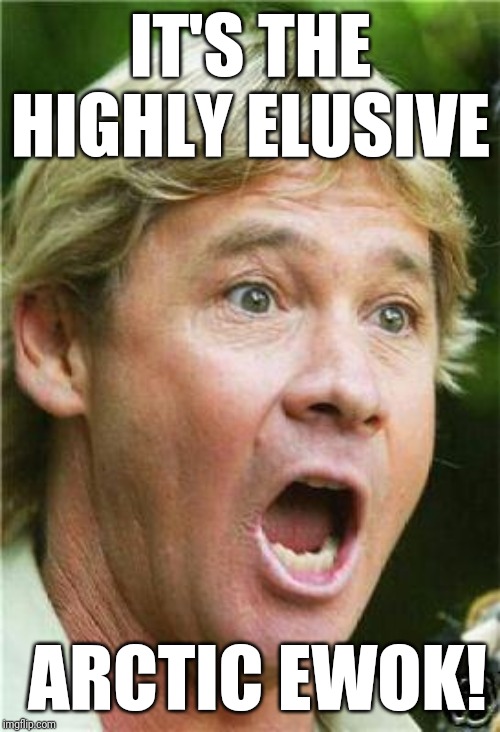 Steve Irwin shocked | IT'S THE HIGHLY ELUSIVE ARCTIC EWOK! | image tagged in steve irwin shocked | made w/ Imgflip meme maker