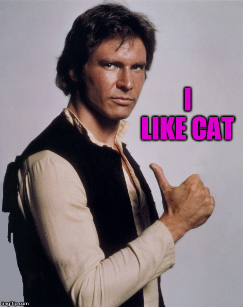 han solo | I LIKE CAT | image tagged in han solo | made w/ Imgflip meme maker
