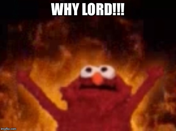 Twat | WHY LORD!!! | image tagged in twat,elmo | made w/ Imgflip meme maker