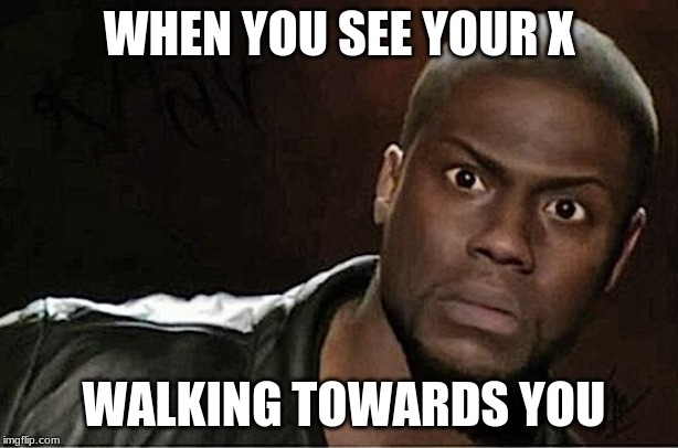 Kevin Hart | WHEN YOU SEE YOUR X; WALKING TOWARDS YOU | image tagged in memes,kevin hart | made w/ Imgflip meme maker