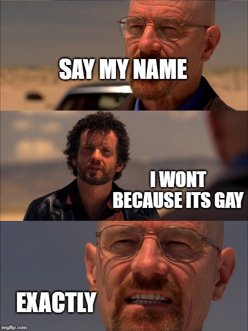 Breaking Bad - Say My Name | SAY MY NAME; I WONT BECAUSE ITS GAY; EXACTLY | image tagged in breaking bad - say my name | made w/ Imgflip meme maker