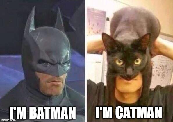 catbatman |  I'M CATMAN; I'M BATMAN | image tagged in batman,cat,fun | made w/ Imgflip meme maker