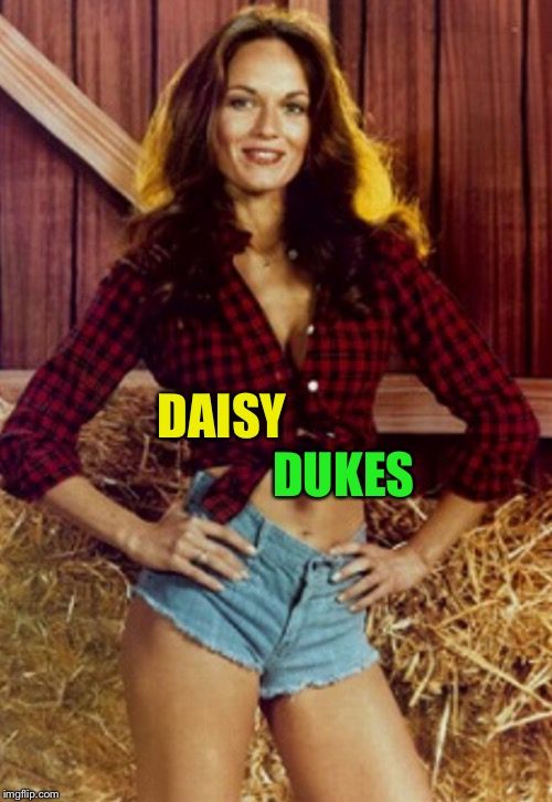 DAISY DUKES | made w/ Imgflip meme maker