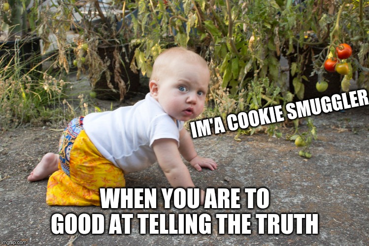 Cookie Smuggler On The Loose! | IM'A COOKIE SMUGGLER; WHEN YOU ARE TO GOOD AT TELLING THE TRUTH | image tagged in baby,cookie,funny,memes,cookies | made w/ Imgflip meme maker
