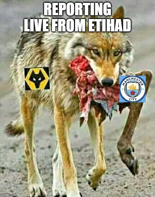 Knee Slapping Man City Memes After Surprising Wolves Crushing Daily Active