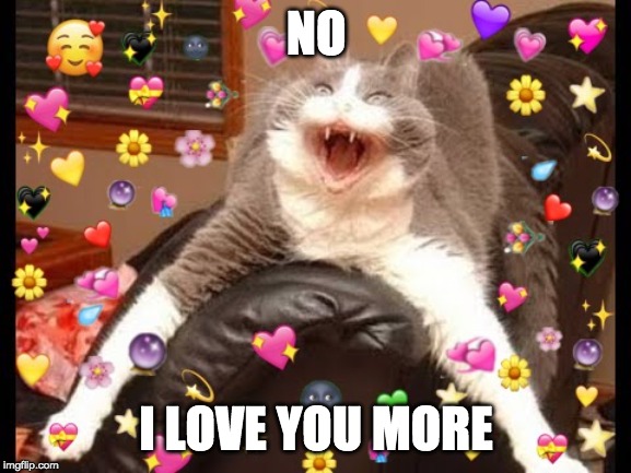 wholesome cat | NO; I LOVE YOU MORE | image tagged in wholesome cat | made w/ Imgflip meme maker