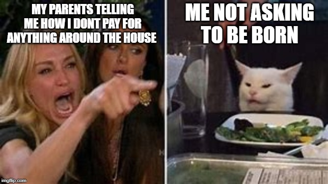 Born Without Consent | ME NOT ASKING TO BE BORN; MY PARENTS TELLING ME HOW I DONT PAY FOR ANYTHING AROUND THE HOUSE | image tagged in funny,confused cat,cats,funny memes,funny cats | made w/ Imgflip meme maker