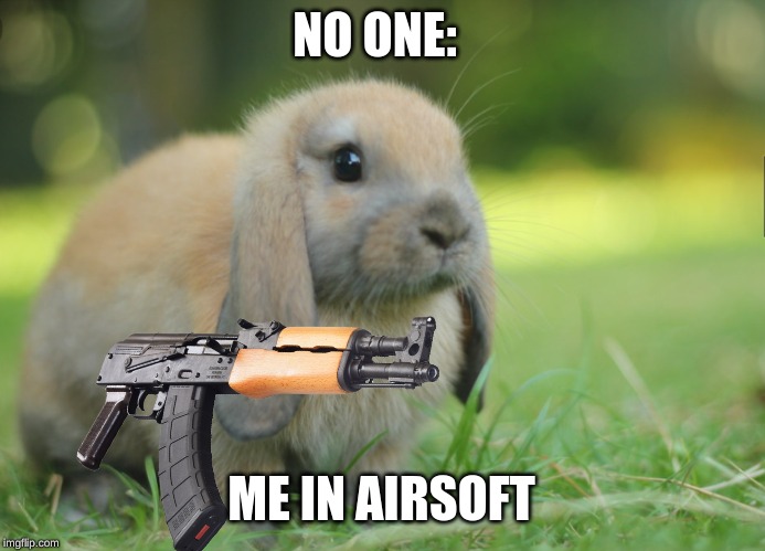 Bunny | NO ONE:; ME IN AIRSOFT | image tagged in bunny | made w/ Imgflip meme maker