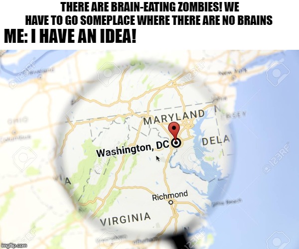 THERE ARE BRAIN-EATING ZOMBIES! WE HAVE TO GO SOMEPLACE WHERE THERE ARE NO BRAINS; ME: I HAVE AN IDEA! | image tagged in washington dc,zombies,intelligence | made w/ Imgflip meme maker