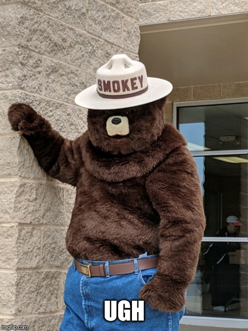 Smokey Bear | UGH | image tagged in smokey bear | made w/ Imgflip meme maker