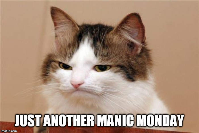 JUST ANOTHER MANIC MONDAY | made w/ Imgflip meme maker