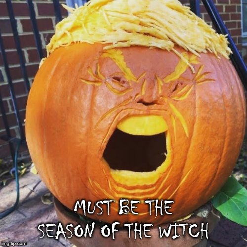 MUST BE THE SEASON OF THE WITCH | image tagged in trump,pumpkin,witch,halloween | made w/ Imgflip meme maker