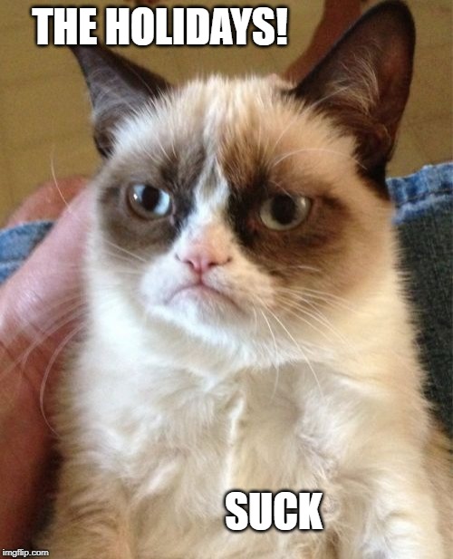 Grumpy Cat Meme | THE HOLIDAYS! SUCK | image tagged in memes,grumpy cat | made w/ Imgflip meme maker