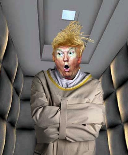 Trump insane strait jacket rubber room Blank Meme Template