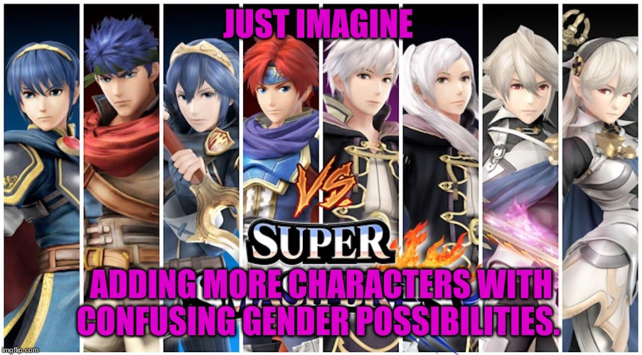 fire emblem confusion | JUST IMAGINE; ADDING MORE CHARACTERS WITH CONFUSING GENDER POSSIBILITIES. | image tagged in super smash bros,fire emblem,nintendo,confused | made w/ Imgflip meme maker