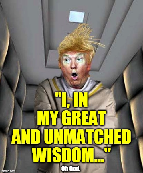 Trump insane strait jacket rubber room | "I, IN MY GREAT AND UNMATCHED WISDOM..."; Oh God. | image tagged in trump insane strait jacket rubber room,trump,delusional,insane,crazy,wisdom | made w/ Imgflip meme maker