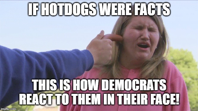 If hotdogs were facts | IF HOTDOGS WERE FACTS; THIS IS HOW DEMOCRATS REACT TO THEM IN THEIR FACE! | image tagged in democrats | made w/ Imgflip meme maker