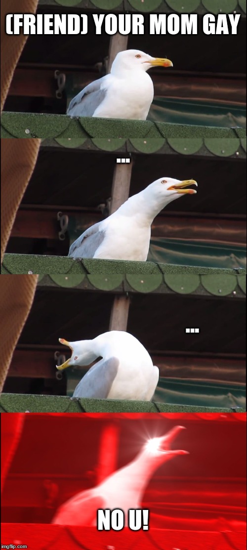 Inhaling Seagull Meme | (FRIEND) YOUR MOM GAY; ... ... NO U! | image tagged in memes,inhaling seagull | made w/ Imgflip meme maker