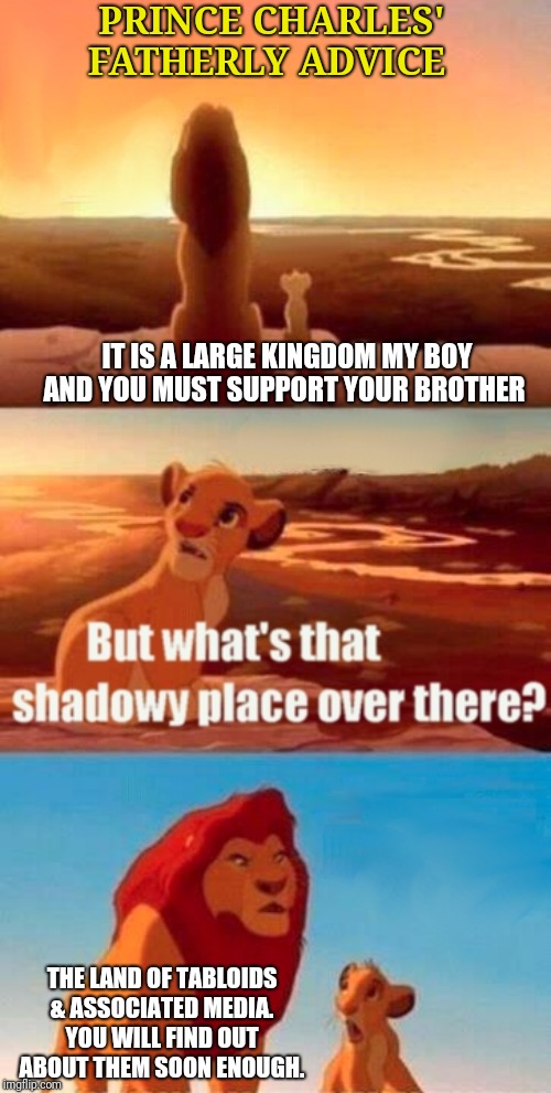Simba Shadowy Place | PRINCE CHARLES'
FATHERLY ADVICE; IT IS A LARGE KINGDOM MY BOY AND YOU MUST SUPPORT YOUR BROTHER; THE LAND OF TABLOIDS & ASSOCIATED MEDIA. YOU WILL FIND OUT ABOUT THEM SOON ENOUGH. | image tagged in memes,simba shadowy place | made w/ Imgflip meme maker
