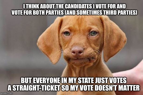 Dissapointed puppy | I THINK ABOUT THE CANDIDATES I VOTE FOR AND VOTE FOR BOTH PARTIES (AND SOMETIMES THIRD PARTIES) BUT EVERYONE IN MY STATE JUST VOTES A STRAIG | image tagged in dissapointed puppy | made w/ Imgflip meme maker