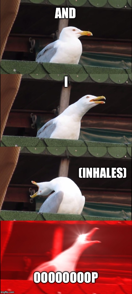 Inhaling Seagull | AND; I; (INHALES); OOOOOOOOP | image tagged in memes,inhaling seagull | made w/ Imgflip meme maker
