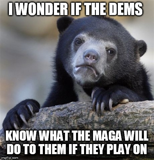 Confession Bear | I WONDER IF THE DEMS; KNOW WHAT THE MAGA WILL DO TO THEM IF THEY PLAY ON | image tagged in memes,confession bear | made w/ Imgflip meme maker