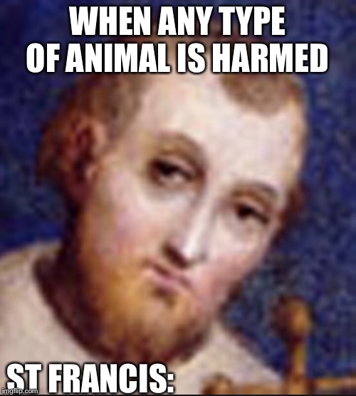 More Catholic than my Holy Water... | WHEN ANY TYPE OF ANIMAL IS HARMED; ST FRANCIS: | image tagged in christianity | made w/ Imgflip meme maker