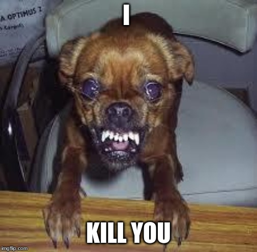 mad dog! | I; KILL YOU | image tagged in mad dog | made w/ Imgflip meme maker